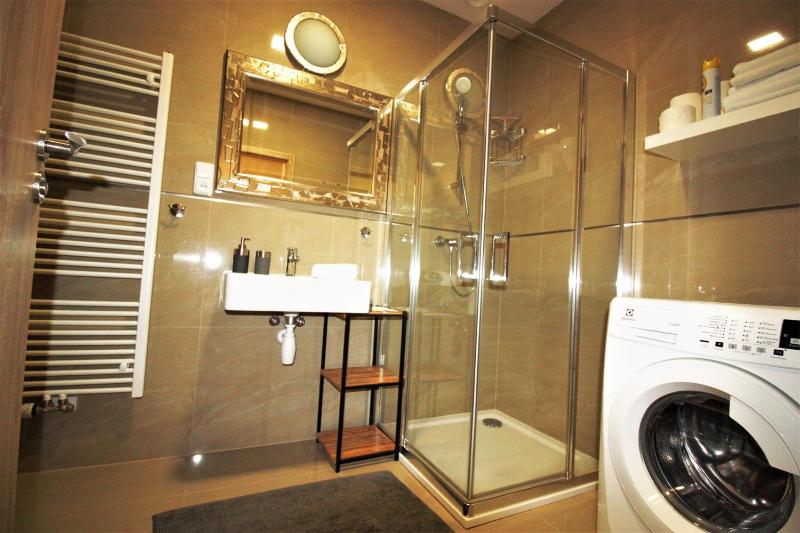 One-Bedroom Apartment image 4