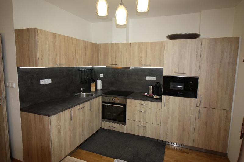 One-Bedroom Apartment image 3
