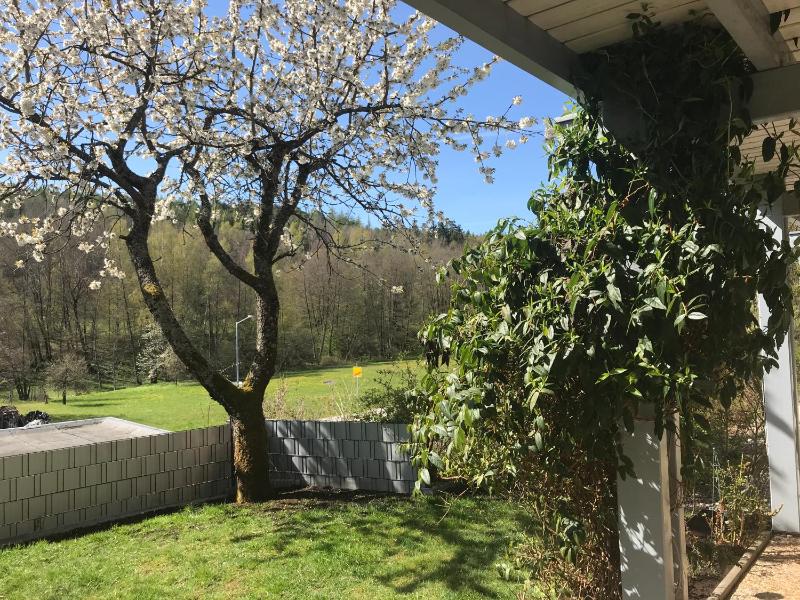 Double Room with Terrace image 2