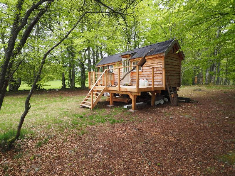 Glamping Cabin (Not Pet Friendly) image 1