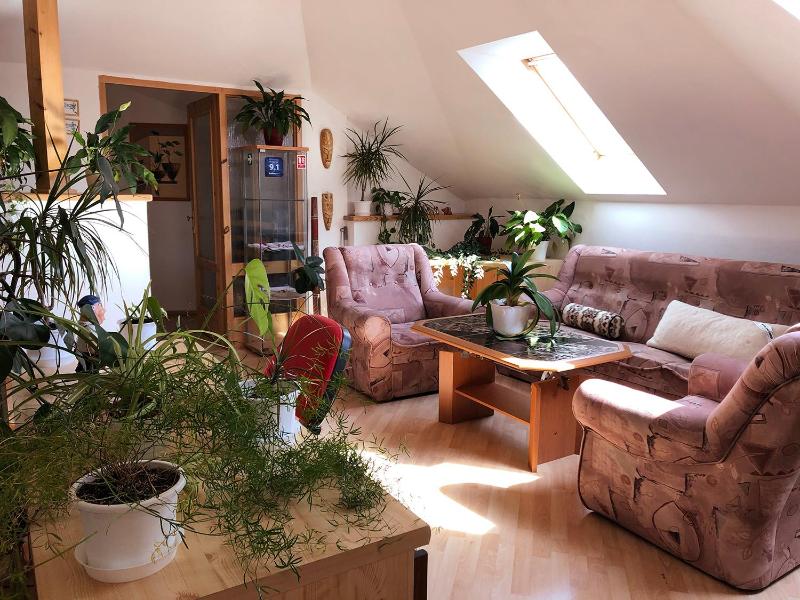 Superior One-Bedroom Apartment image 2
