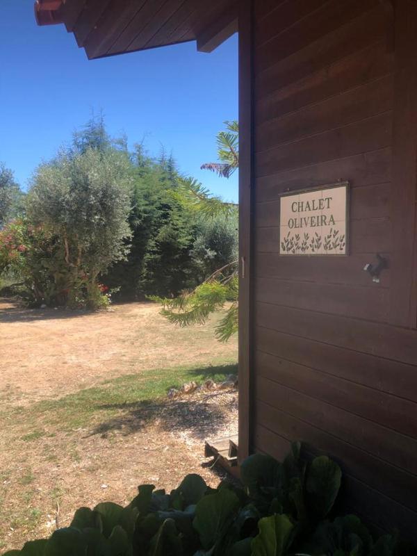 Two-Bedroom Chalet (4 adults + 2 children) image 2