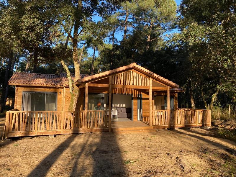 Superior Villa image 1