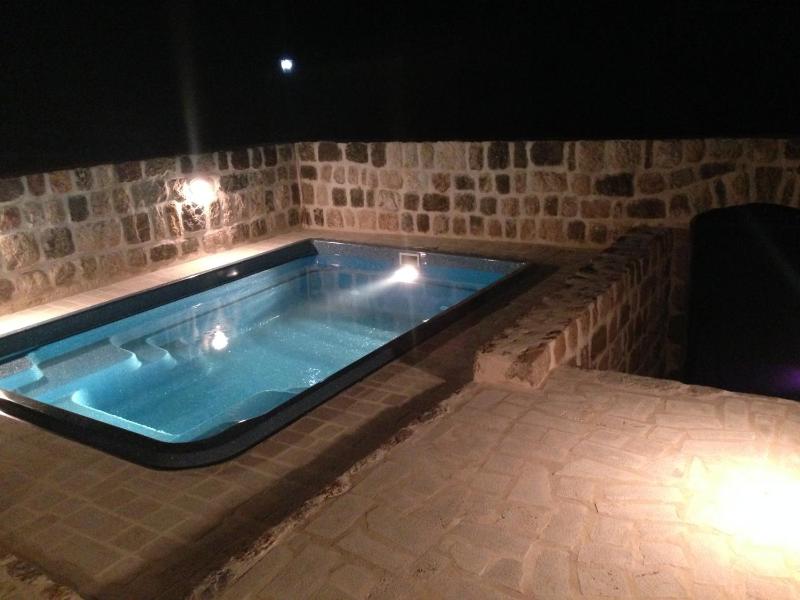 One-Bedroom House with Private Pool image 1