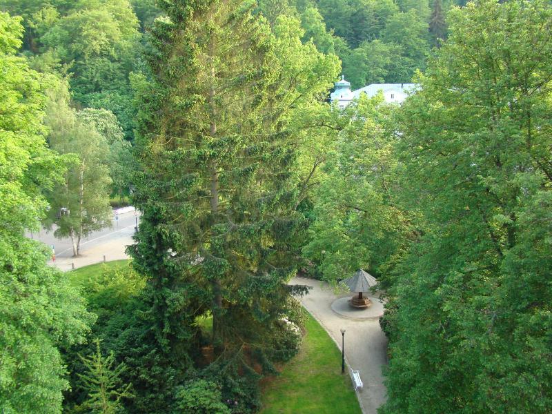 Hotel Saint Petersburg - image 15