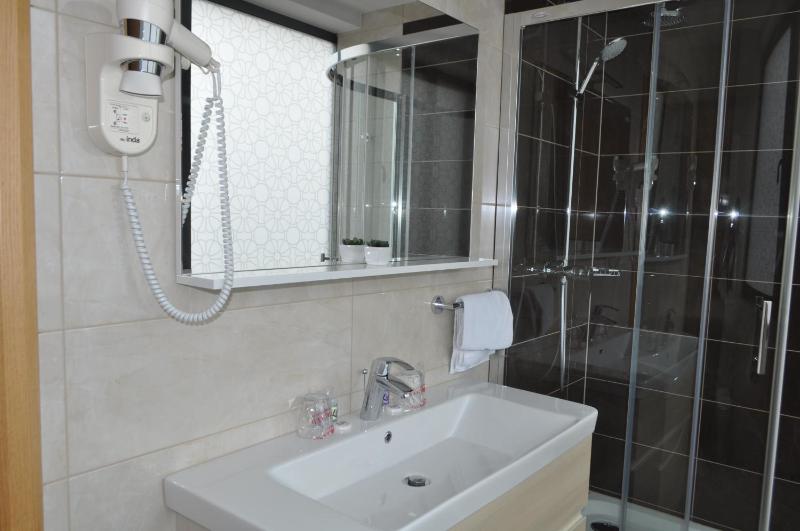 Deluxe Double or Twin Room image 2