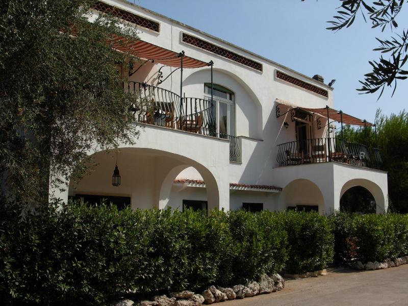Large Two-Bedroom Apartment image 1