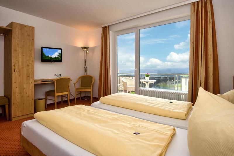 Superior Double Room image 3