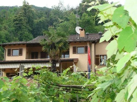B&B della Pace - image 24