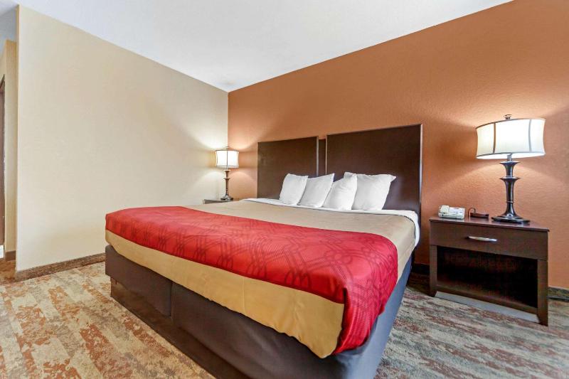 King Room - Non-Smoking image 3