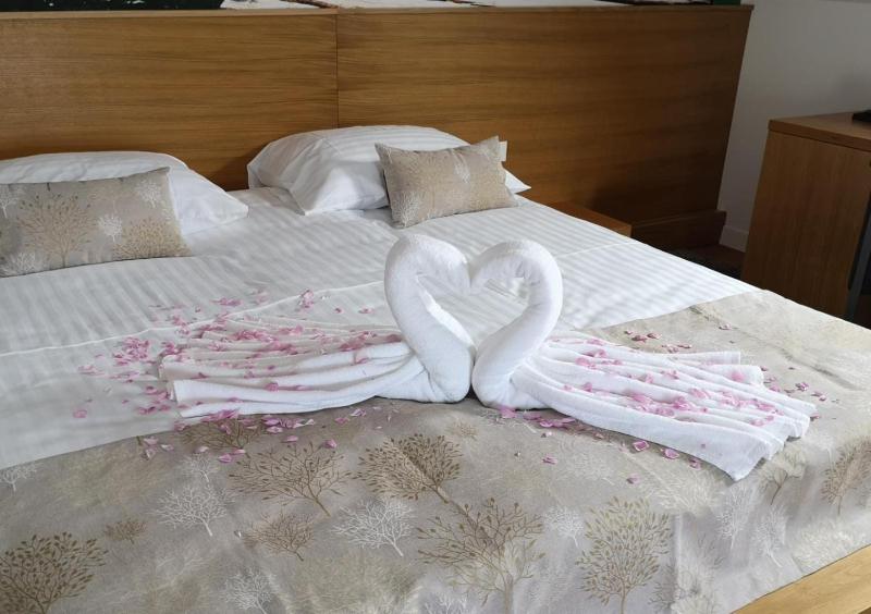 Double or Twin Room image 3