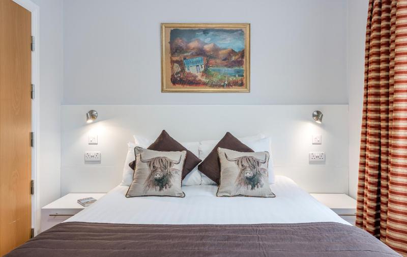 One-Bedroom Apartment image 4