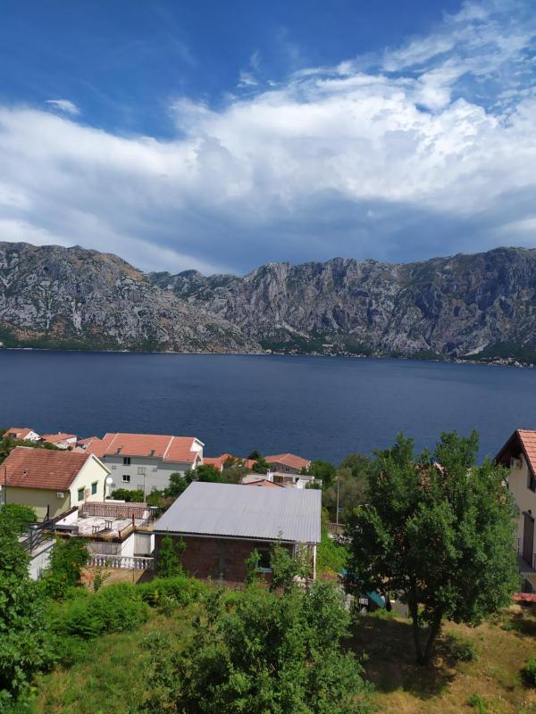 Apartman Jovan - image 15