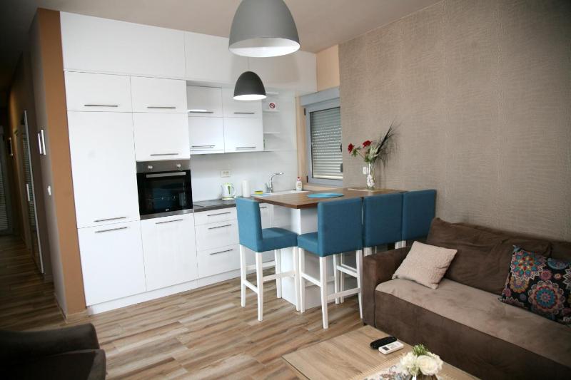 One-Bedroom Apartment image 3