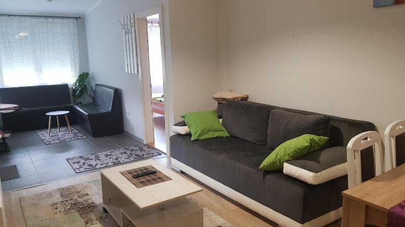 One-Bedroom Apartment image 2