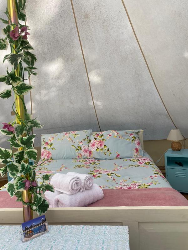TENT 1  image 3