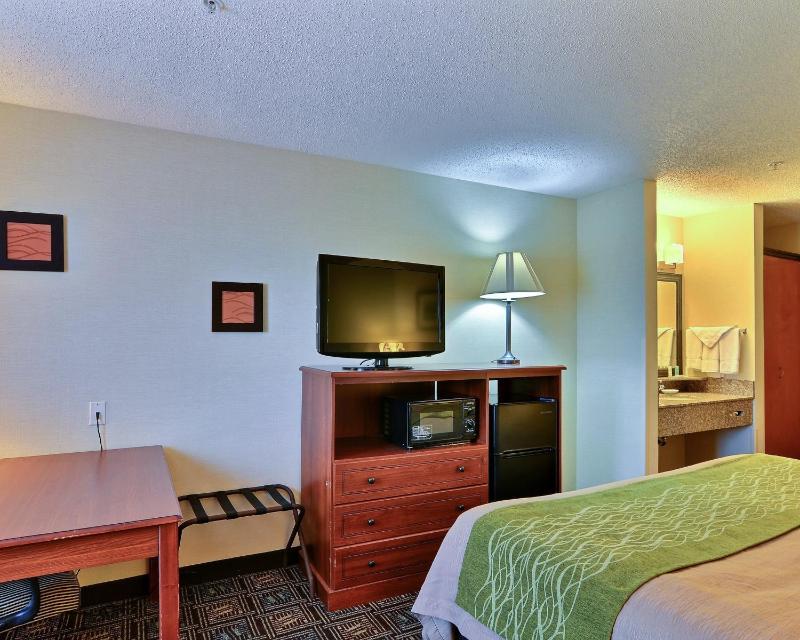 Standard Room, 1 King Bed, Interior Corridor, Non Smoking image 3