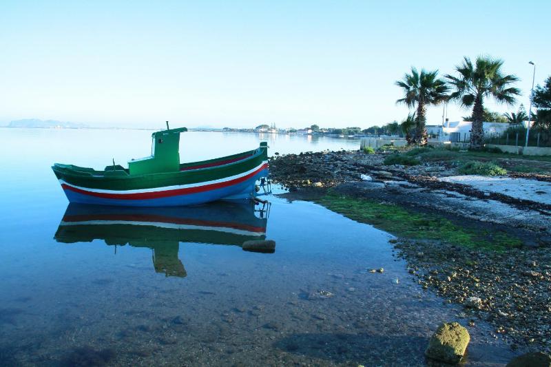 Il Fenicottero - image 16