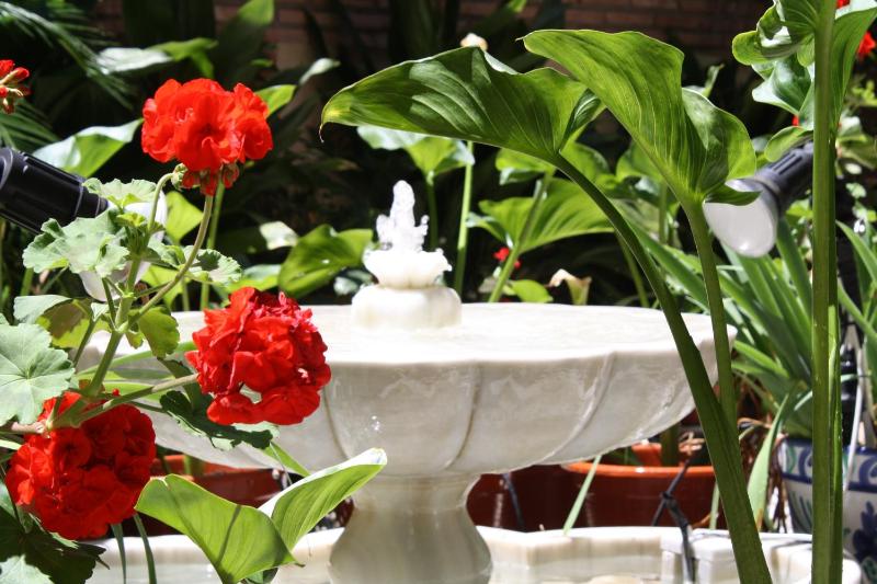 Special Offer - Double Room image 3