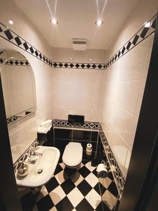 Deluxe King Suite image 2