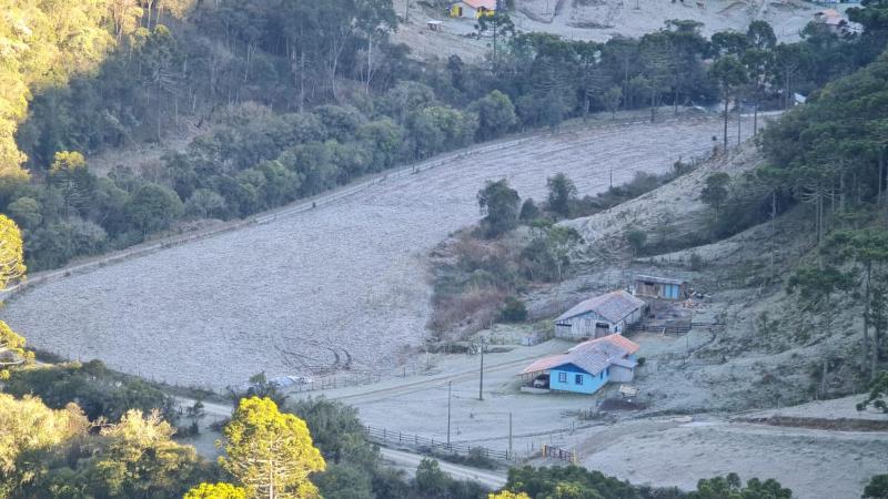 Refúgio das Araucárias - image 15