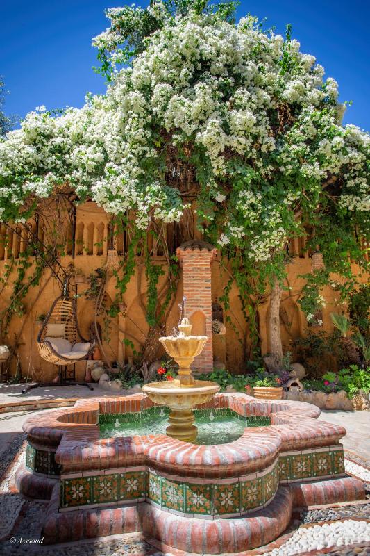 Dar Echchaouen Maison d'Hôtes & Riad - image 7