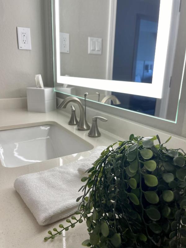 Deluxe View King Suite image 3