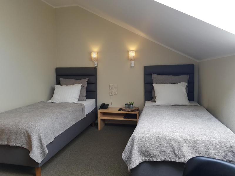 Economy Twin Room image 2