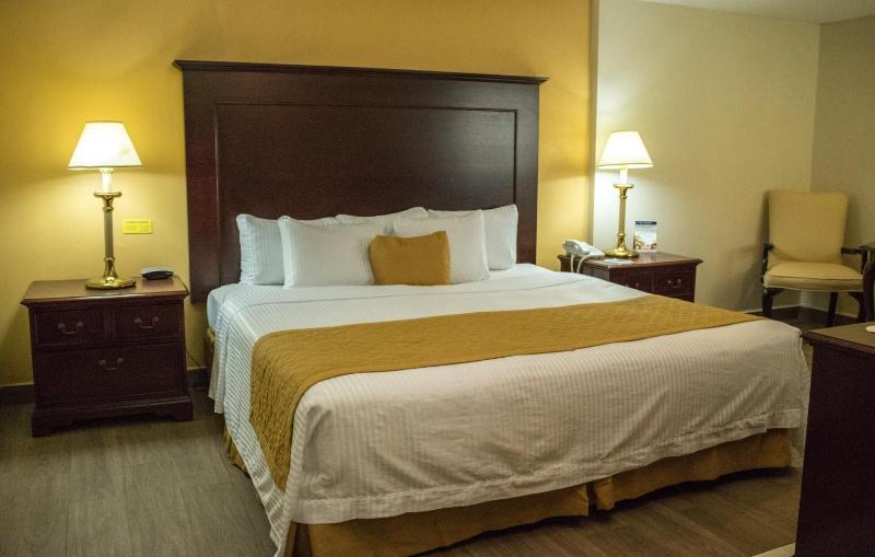 Hotel Plaza Calzada - image 37