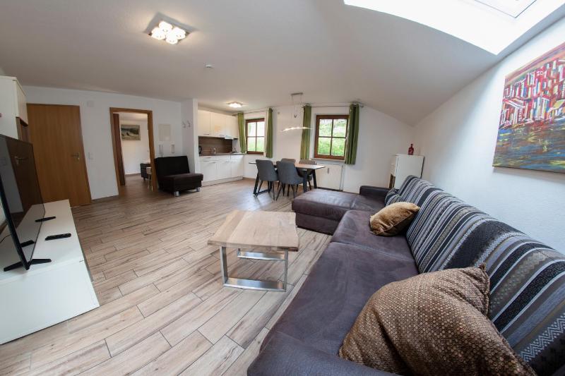 Large Apartment image 3