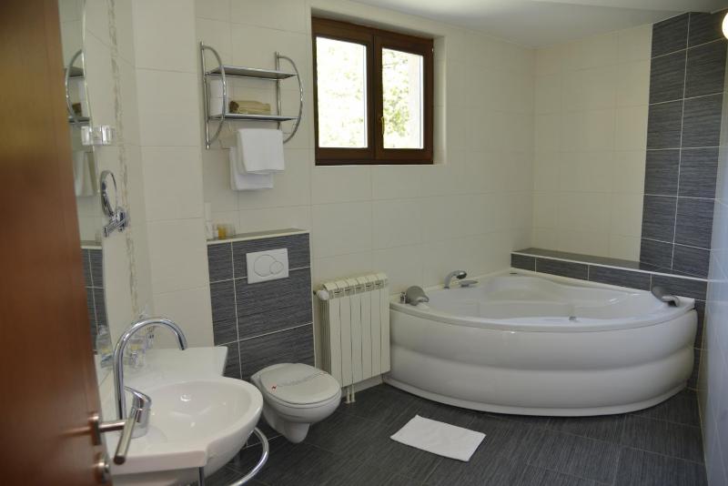 Studio with Terrace image 4