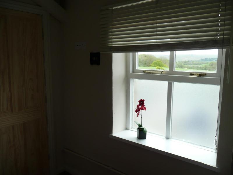Standard Single Room image 3