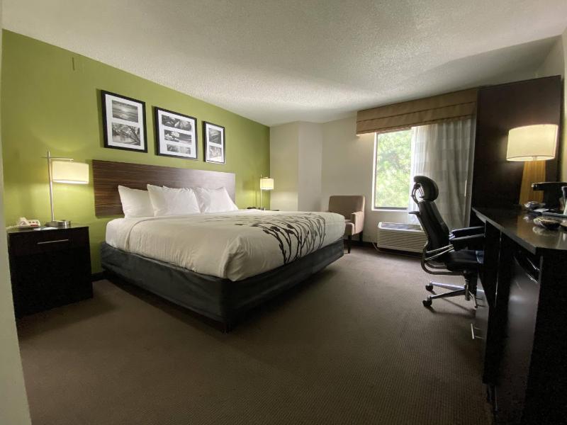 King Room - Non-Smoking image 3