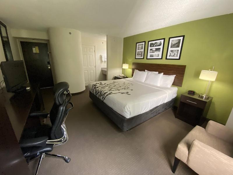 King Room - Non-Smoking image 2