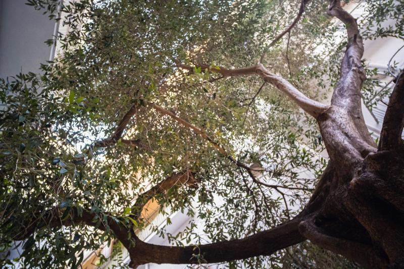 Beige and Blanc Two Bedroom Apartment with Urban Back Yard & Free Parking image 3