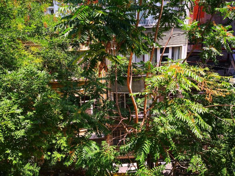 Gafa Garden Hostel & Apartments - Great Location - image 14