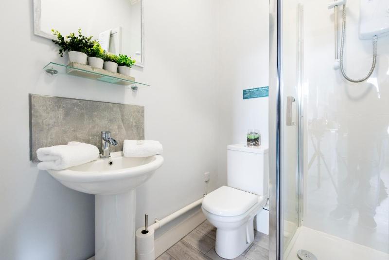 One-Bedroom Apartment image 4