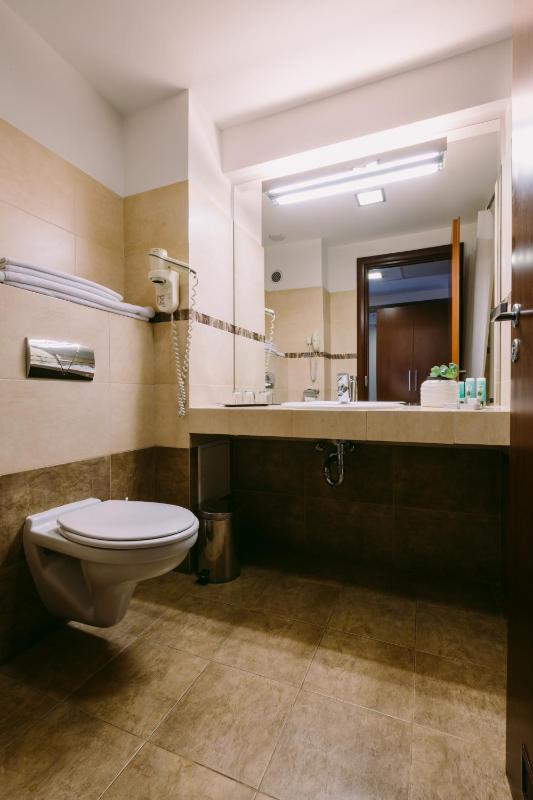 Business Single Room image 2