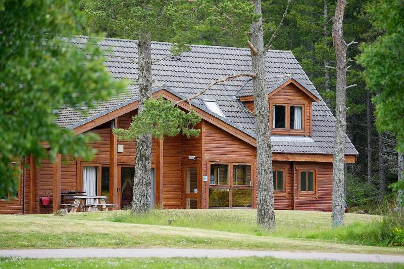 Spacious Forest Lodge 1 - Pet-Friendly image 2