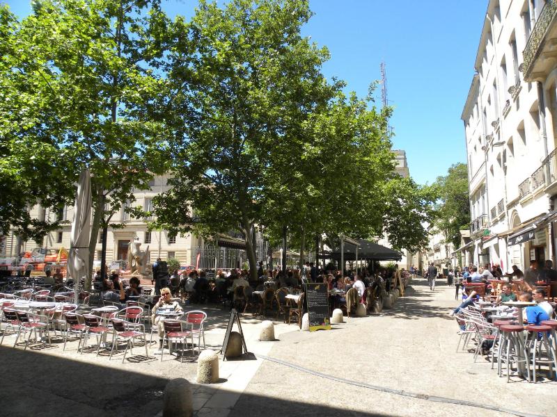 La Terrasse du Marché aux Fleurs - image 13