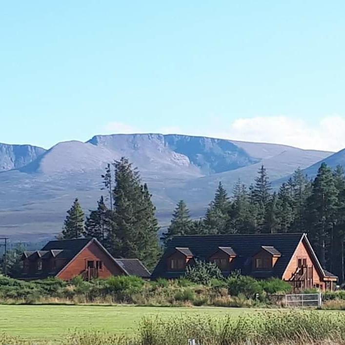 Spacious Forest Lodge 1 - Pet-Friendly image 1