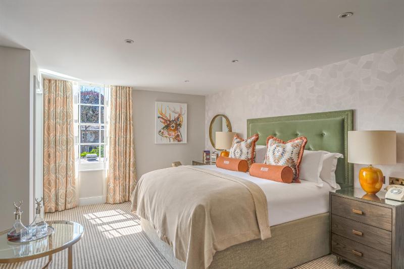 Deluxe Double Room image 1