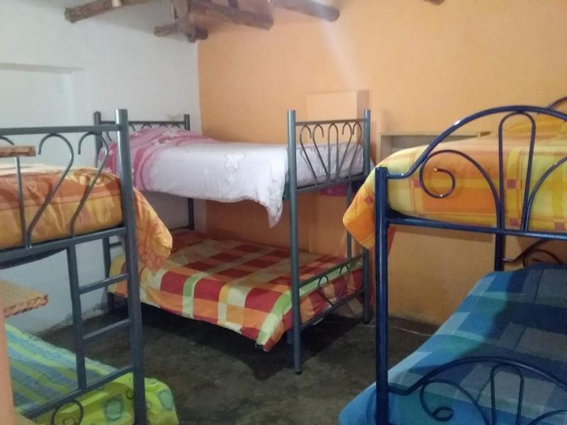 Bunk Bed in Mixed Dormitory Room