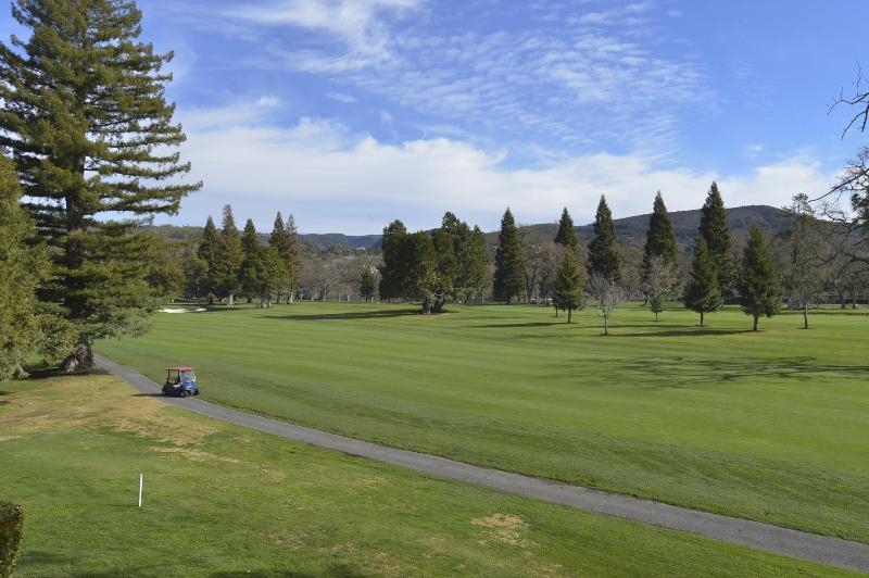 One-Bedroom Apartment image 2