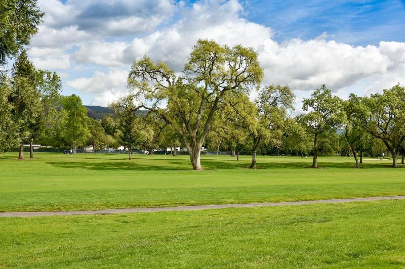 One-Bedroom Apartment image 3