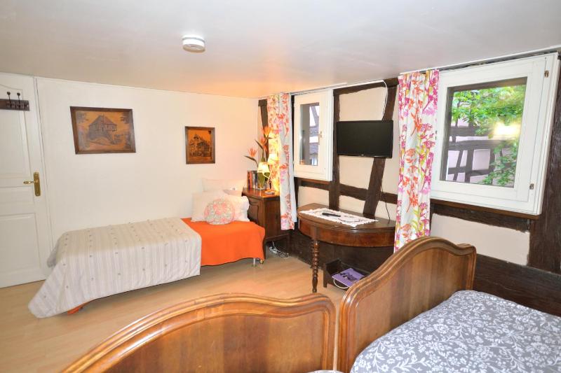 CHEZ CECILE Bed and Breakfast chez le VIGNERON - image 13