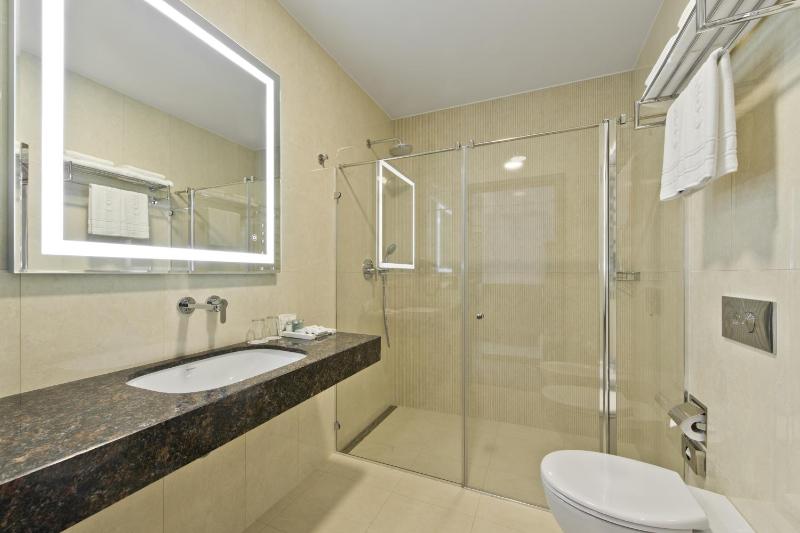 Superior Double or Twin Room image 4