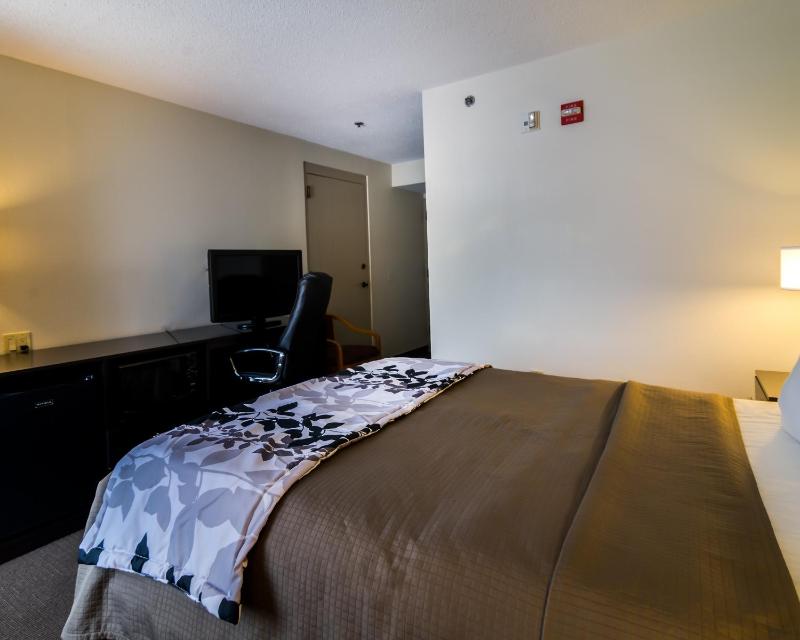 Queen Room - Disability Access image 3