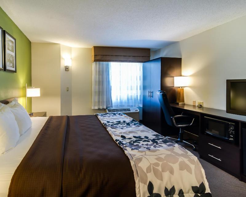 Queen Room - Disability Access image 4