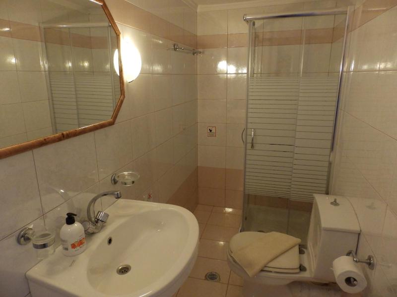 One-Bedroom Apartment image 2
